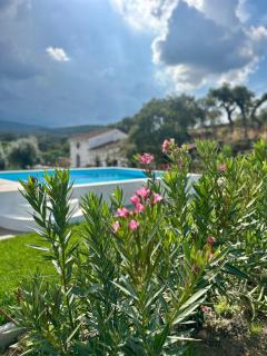 Casanova Country Villa - 3
