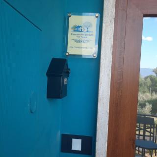 L'azzurro tra gli ulivi - 6