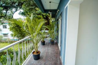 Siolim Palm - 1