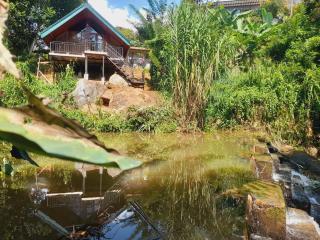 Avonest Eco Cottage Ella - 3