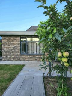 Plekkenpolhof - 2