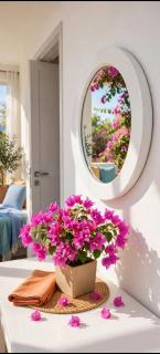 Bouganvillea - 6