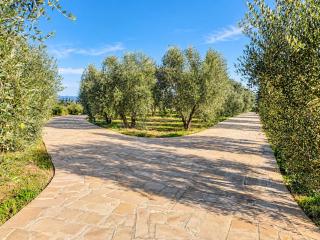 Casale Falisco - Tuscia Countryside - 8