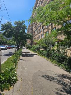 65 - Jewel of Calea Victoriei - Cozy Flat 1BR - 6