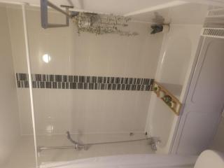 2 Bedroom Apartment near historical Christchurch - 6