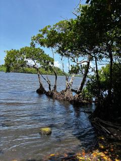 The Lagoon Villa - 6