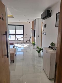 Brand new 5 min from beach luxurious large rooftop - 8