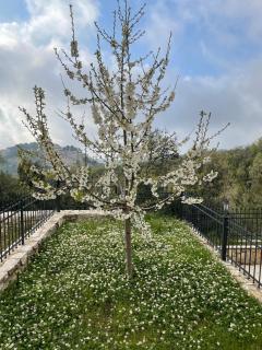The Cherry House of Annaya, Villa Near St Charbel - 1