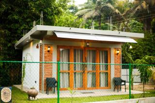 The Paddy Pavilion - 0