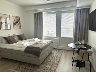 Studio in Rovaniemi City Centre - 0