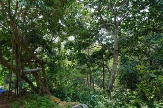 Chans Retreat Villa Yercaud - 9