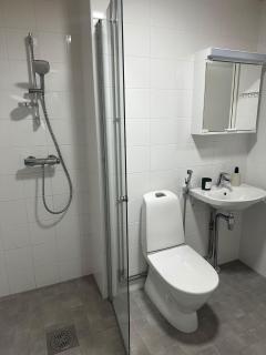 Studio in Rovaniemi City Centre - 1