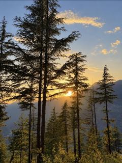 Saanjh Aur Sukoon - A Boutique Homestay - 7