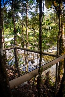 Posada Manacus, Naturaleza confort y rio Dormilón -  - 7