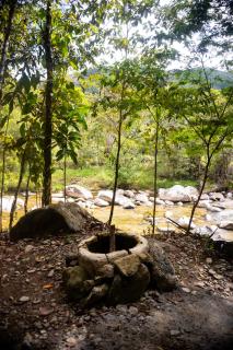 Posada Manacus, Naturaleza confort y rio Dormilón -  - 5