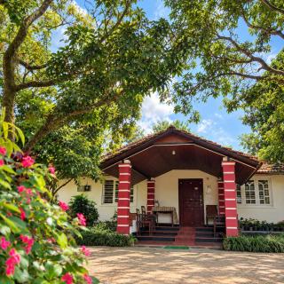 Village World Homestay - 7