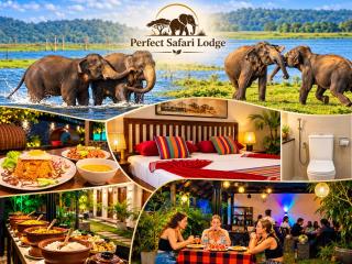 Perfect Safari lodge - 0