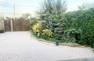 Arena House - 2