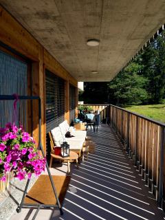 Exceptional contemporary apartment in Vercorin - 1