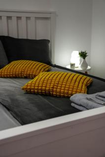 C40 Signature Suite - 5