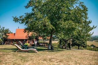 GRAPPA Goldhill Wineyard & Lodges - 2