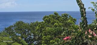Large studio with beautiful sea view in Schoelcher - 1