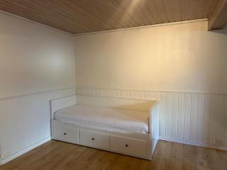 Romslig leilighet - 8 min from Oslo Airport - 4