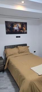 2 bed room,Geralta - Addis Abeba - 1