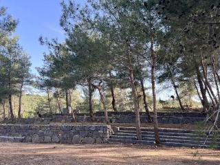 Pine Forest Camping in Kobayat - 0