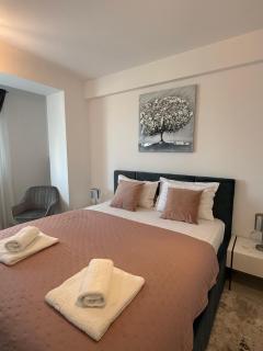Isa Residence - Otopeni Airport & Therme I Libertatii Gardens - Self Check In - 4