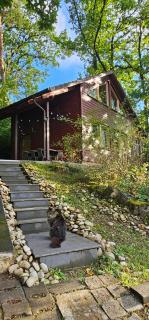 Romantisches Waldhaus mit Privatsauna, Grill und Feuerschtelle - Münchsteinach - 9