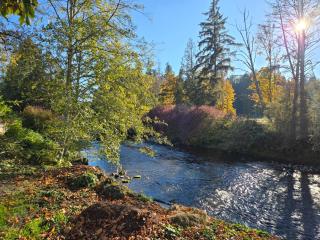 Riverside Resort & RV Park - 3
