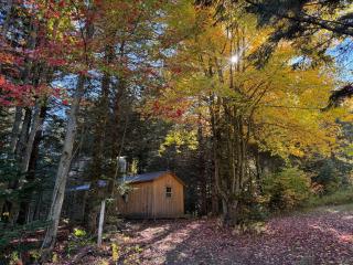 Lookout Cabin - 3