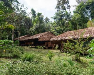 Dorado Amazon Lodge - 0