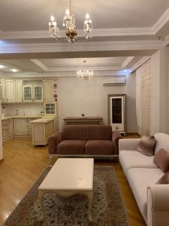 Modern Apartment in Baku Near Metro - 0