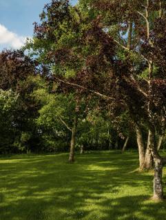 Caplor Glamping and Lodges - 8