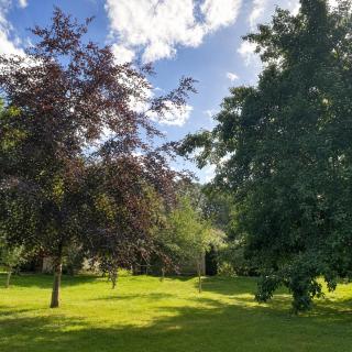Caplor Glamping and Lodges - 9