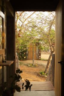 CASa JUNGLa - 9
