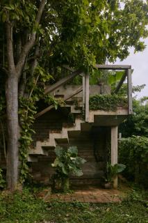 CASa JUNGLa - 7