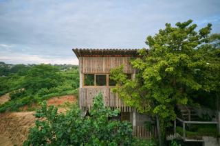 CASa JUNGLa - 6