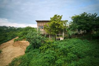 CASa JUNGLa - 4