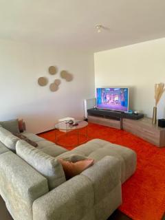 Beautiful 3-bedroom apartment near Geneva & Airport - 2