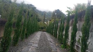 Bruneli House - 8