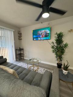 L11 Lovely Emily Apt Dallas - 9