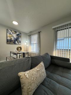 L11 Lovely Emily Apt Dallas - 3