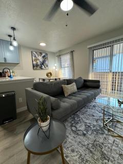 L11 Lovely Emily Apt Dallas - 4