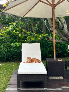 Villa Nolan - Modern 3BR Private Villa with Pool in Padonan, Canggu - 5