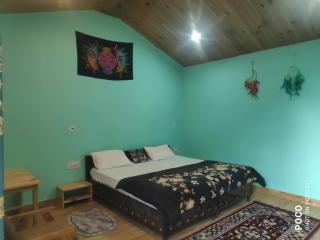 Area 51 Kasol - 5