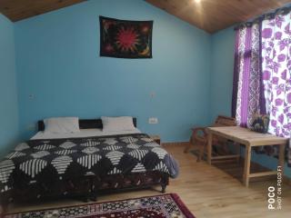 Area 51 Kasol - 1