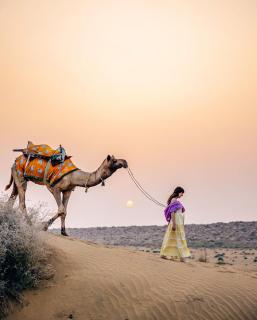Hotel Golden Magic Jaisalmer - 3